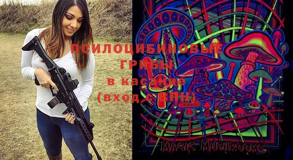 твердый Баксан