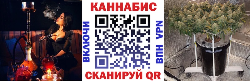 Конопля White Widow  МЕГА tor  Чайковский 